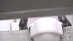 Super hot amateur pissing in the toilet